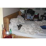 Foto&nbsp;15