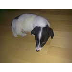 Foto 6