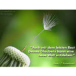 Foto&nbsp;7