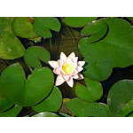 Foto&nbsp;10