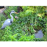 Foto&nbsp;8