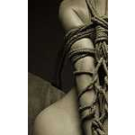 Foto&nbsp;9