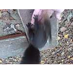 Foto 9