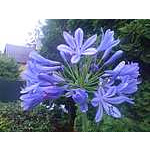 Foto 14