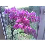 Foto 17