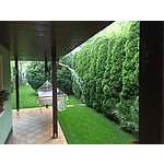 Foto&nbsp;10