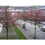 Foto 18