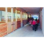 Foto&nbsp;6