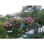 Foto 6