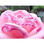 Foto 7
