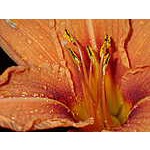 Foto 8