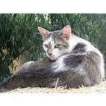Foto 10