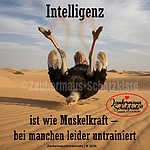 Foto&nbsp;9