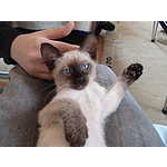 Foto 7