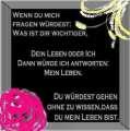 Foto&nbsp;7