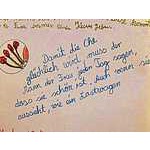 Foto 6