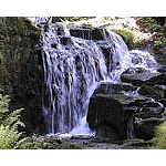 Foto&nbsp;11