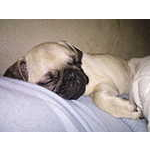 Foto&nbsp;6