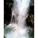 Foto&nbsp;6