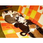 Foto&nbsp;12