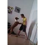Foto&nbsp;19