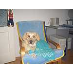 Foto&nbsp;9
