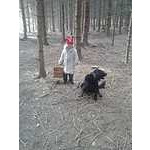 Foto 8