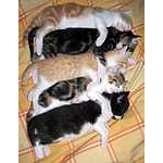 Foto&nbsp;10
