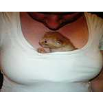 Foto&nbsp;11