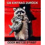 Foto&nbsp;15