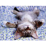 Foto&nbsp;9