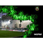 Foto&nbsp;9