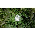 Foto von openminded, Steiermark