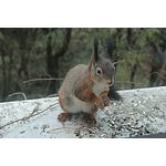 Foto von funknschuasta, Nieder�sterreich