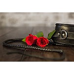 Foto von Leiden_schaft, Niedersterreich