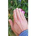 Foto von DieHand, Wien