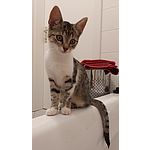 Foto von BinLustig, Niedersterreich