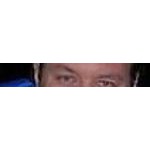 Foto von Tiger49, Nieder�sterreich