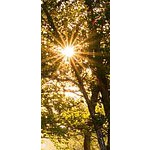 Foto von Sonnenstern777, Steiermark