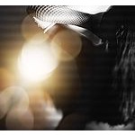 Foto von Springfever2025, Wien