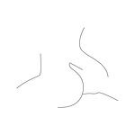 Foto von Gentiluomo, Niedersterreich