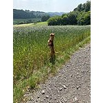 Foto von Magic_Moments25, Niedersterreich