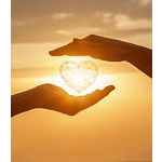 Foto von Belamare, Wien