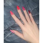 Foto von Zeitnah, Niedersterreich