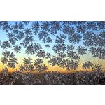 Foto von Jo__eh, Niedersterreich