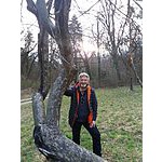 Foto von Zweiklang, Wien