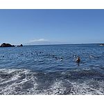 Foto von SonderdienstaD, Nieder�sterreich