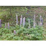 Foto von superbqueen, Wien