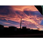 Foto von amabilis13, Nieder�sterreich