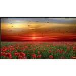 Foto von gentle_mind_, Steiermark